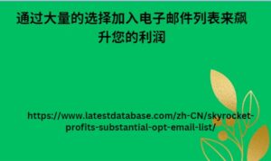 通过大量的选择加入电子邮件列表来飙升您的利润