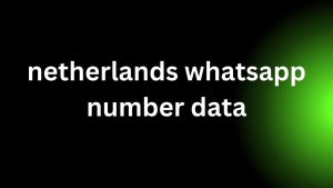 netherlands whatsapp number data